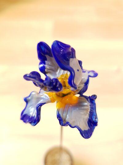 Fleur Iris en verre de Murano