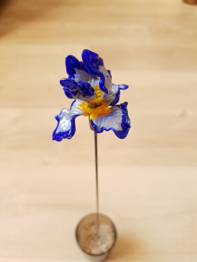 Fleur Iris en verre de Murano