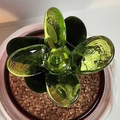 Fleurs artificielles en verre