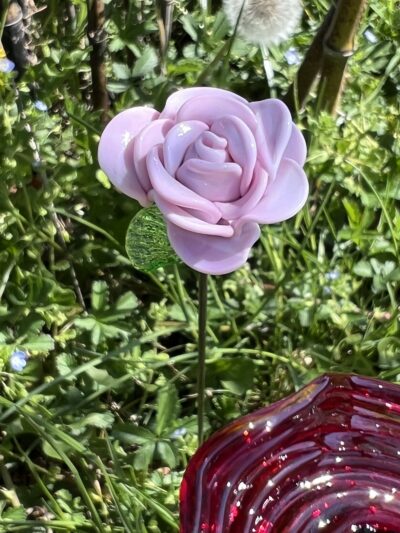 rose de verre