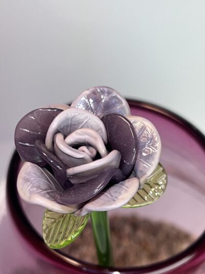 Cadeau rose éternelle