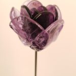 Fleur éternelle tulipe