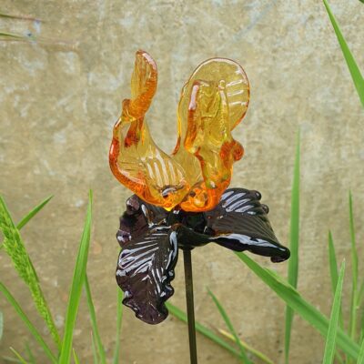 Belle Fleur d’iris