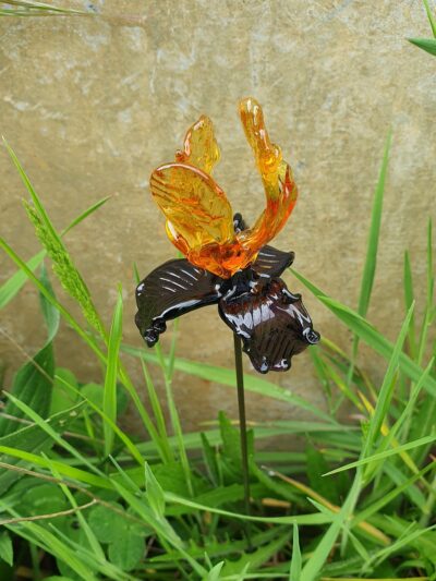 Belle Fleur d’iris