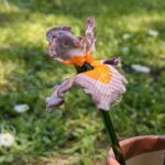 Fleur en verre artisanale