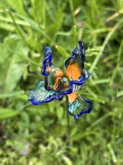 Iris en verre n°017 Bleu, orange et transparent – Image 2