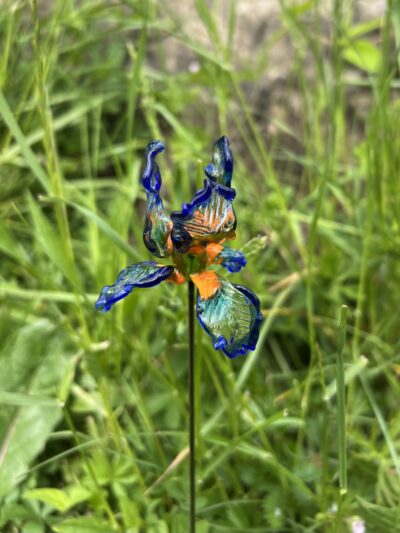 Iris en verre n°017 Bleu, orange et transparent – Image 3