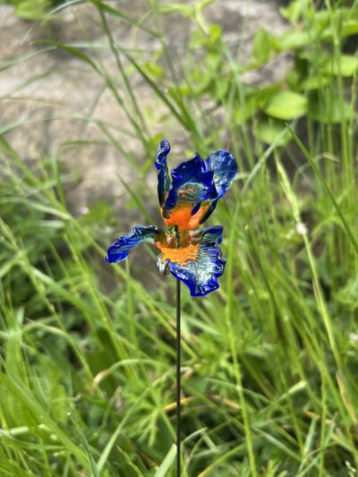 Iris en verre n°017 Bleu, orange et transparent – Image 4