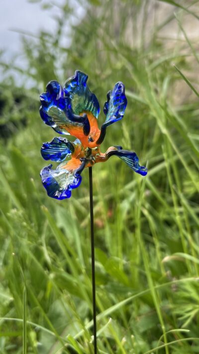Iris en verre n°017 Bleu, orange et transparent – Image 5