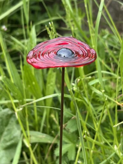 Fleur éternelle cadeau