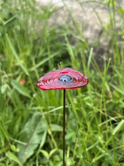 Fleur éternelle cadeau