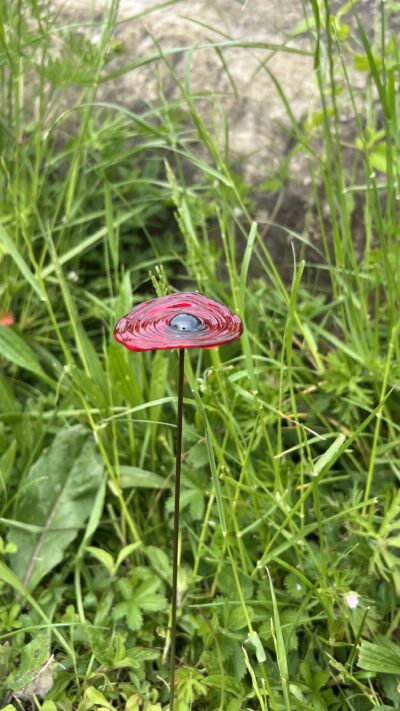 Fleur éternelle cadeau