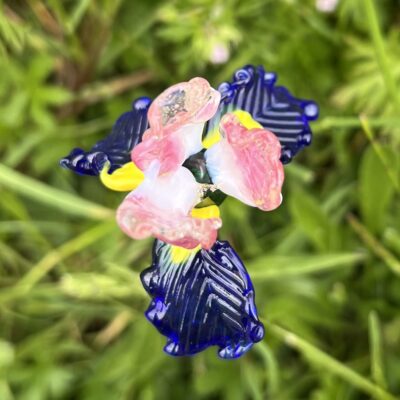 Fleurs de verre