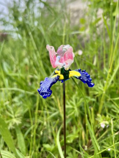 Fleurs de verre
