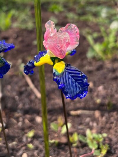 Fleurs de verre