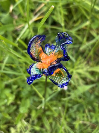 Iris en verre n°016 Bleu, orange et transparent – Image 2