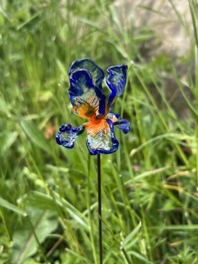 Iris en verre n°016 Bleu, orange et transparent – Image 3