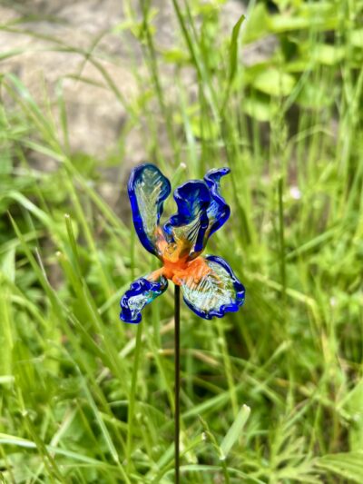 Iris en verre n°016 Bleu, orange et transparent – Image 4