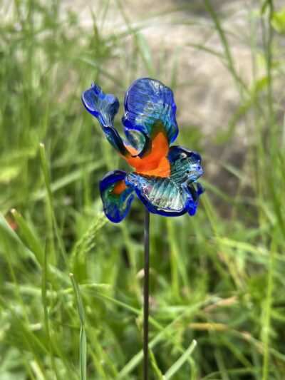 Iris en verre n°016 Bleu, orange et transparent – Image 5