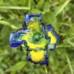 Fleurs en verre sur tige