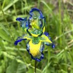 Fleurs en verre sur tige