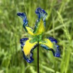 Fleurs en verre sur tige