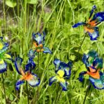 Fleurs en verre sur tige