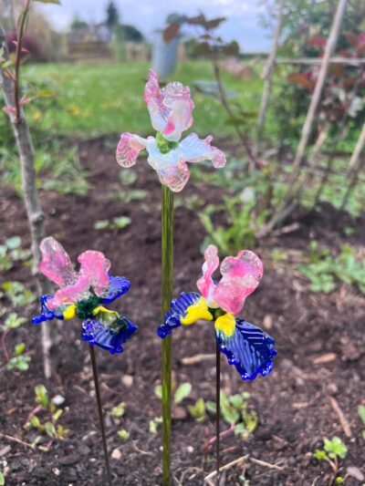 Iris en verre n°011 Rose nacré, bleu, jaune et vert – Image 11