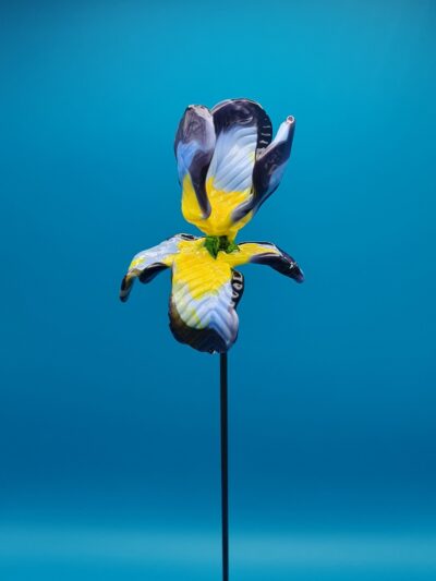 Iris en verre n°012 Violet, bleu ciel, jaune et vert – Image 8