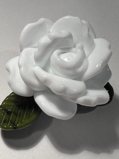 Fleurs blanches