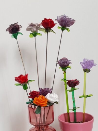 Roses