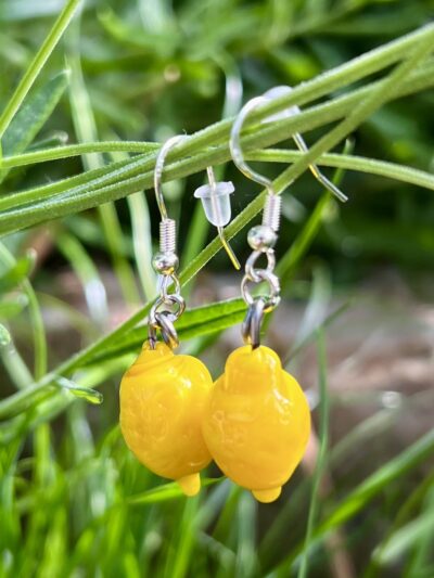 Boucles d'oreilles verre