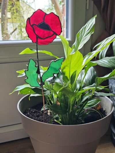 Fleur attrape soleil