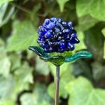 Fleur chardon en verre