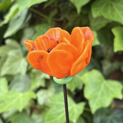 Fleur de Pavot n°001 – Image 2