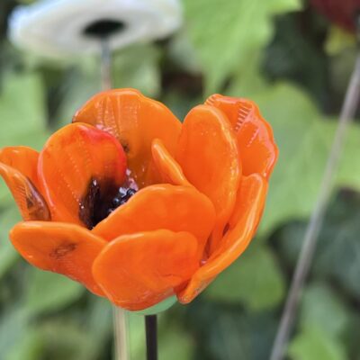 Fleur de Pavot n°001 – Image 3