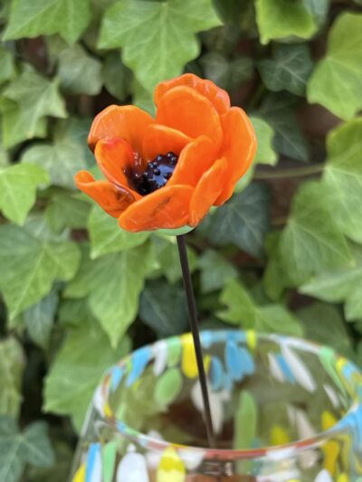 Fleur de Pavot en verre