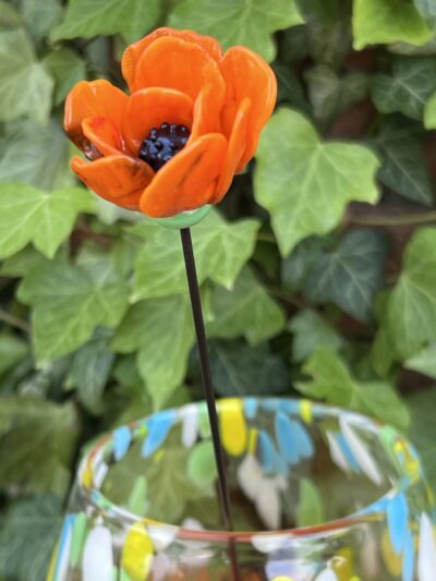 Fleur de Pavot en verre