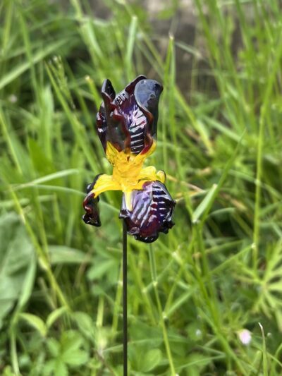Fleur Iris en verre