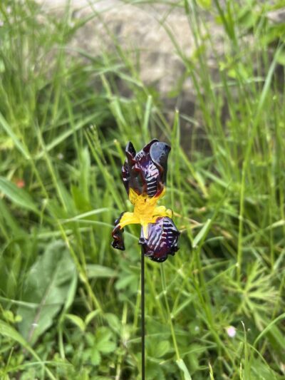Fleur Iris en verre