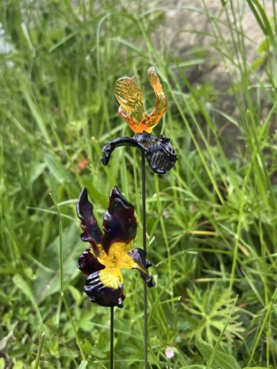 Fleur Iris en verre