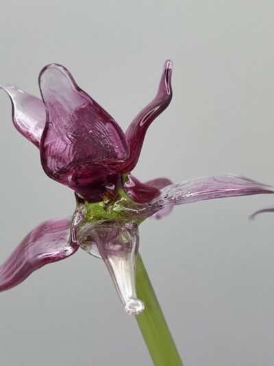 Iris en verre de Murano