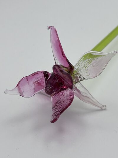 Iris en verre de Murano