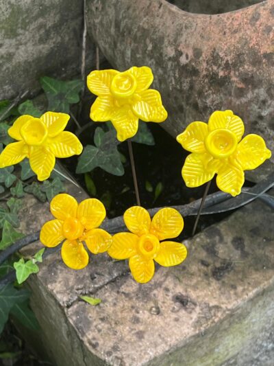 Jonquilles
