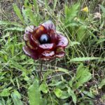 Pivoine en verre de Murano