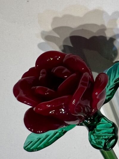 Rose éternelle