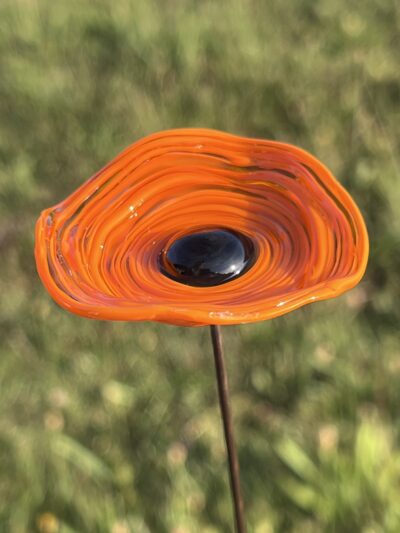 Fleurs coquelicots en verre