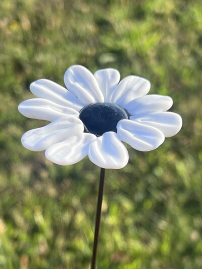 Marguerite en verre de Murano