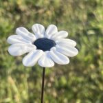 Marguerite en verre de Murano