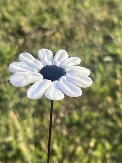 Marguerite en verre de Murano